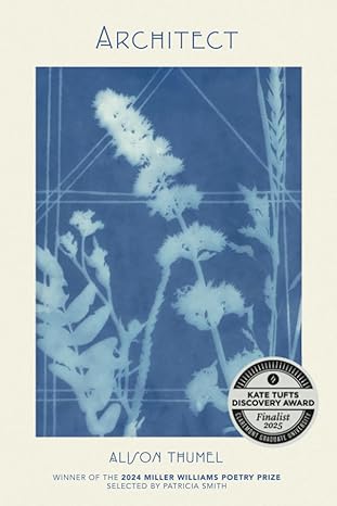 Cover of the book Archetect
